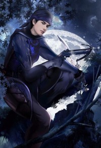 《鹤形十二》