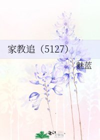 家教追（5127）