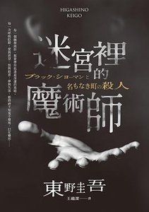 《迷宫里的魔术师(出书版)》