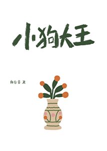小构大王